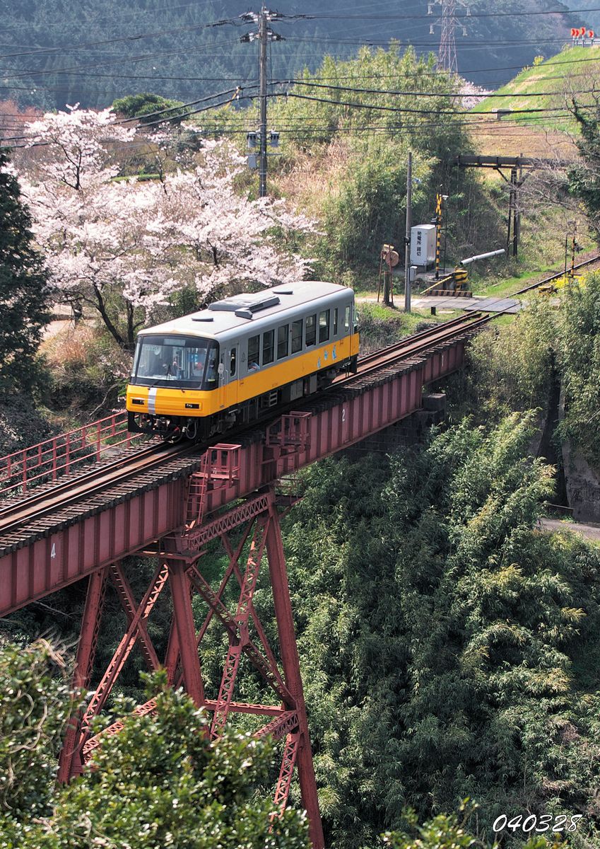 沈丁花にクリロー・桜と鉄道６