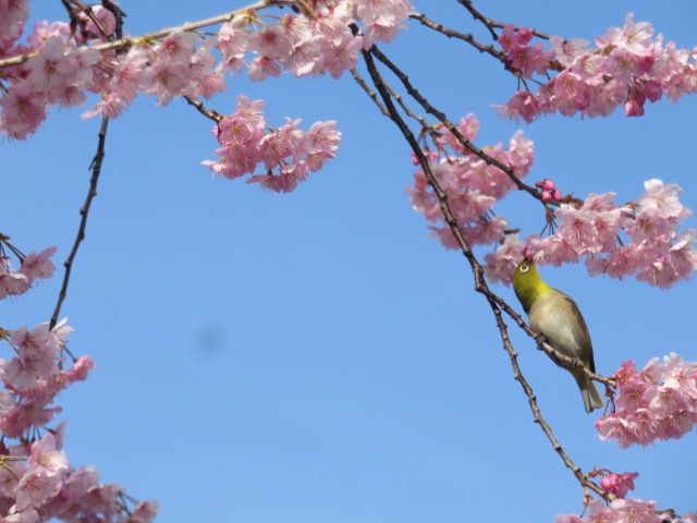 悪いことも良いことも