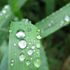 雨が降っていたのだ・・梅雨以来の雨の音