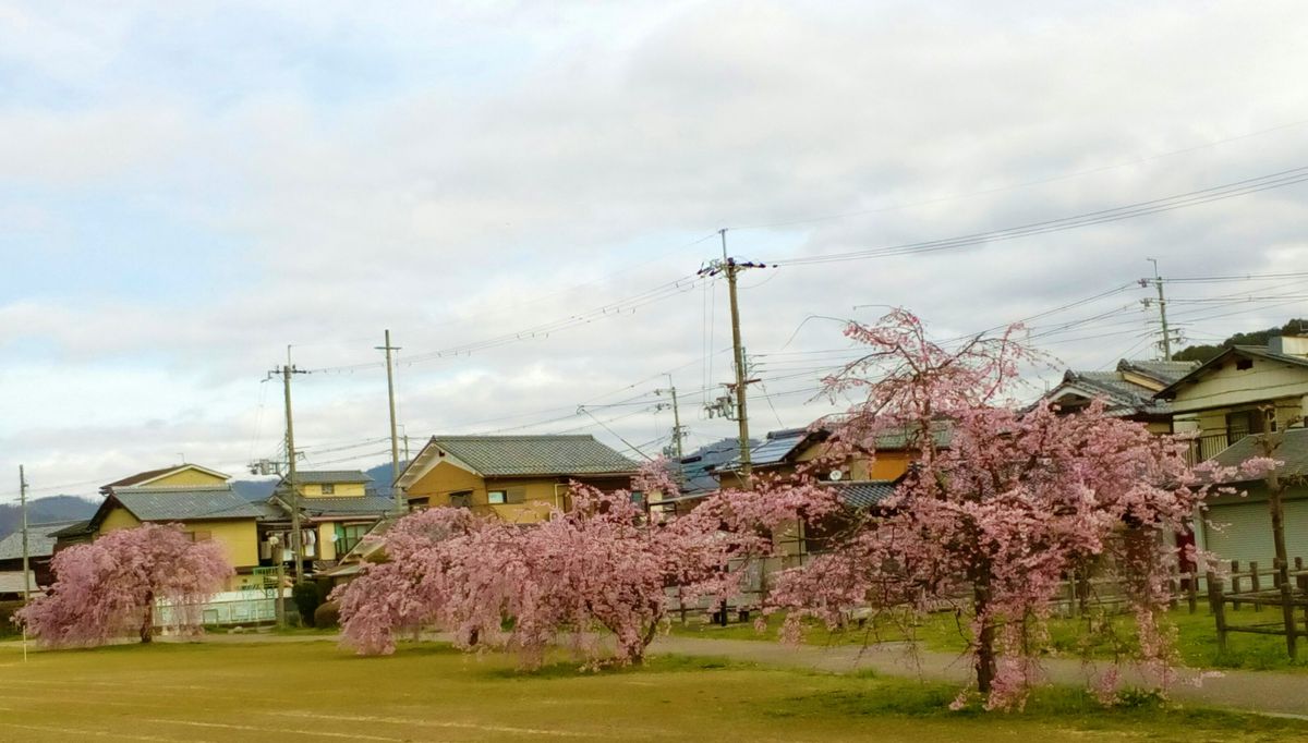 遂に行ってきました🙌