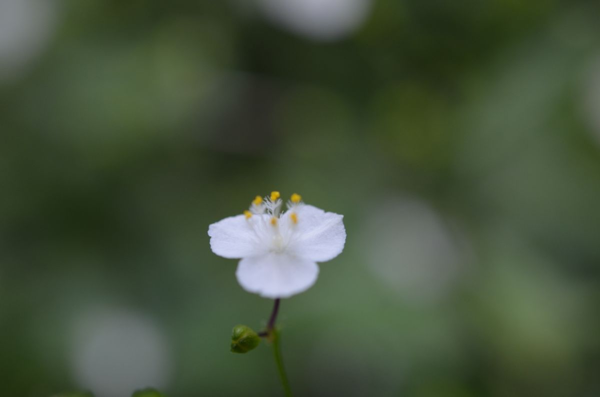 🎵６月の花嫁は幸せになるという💖