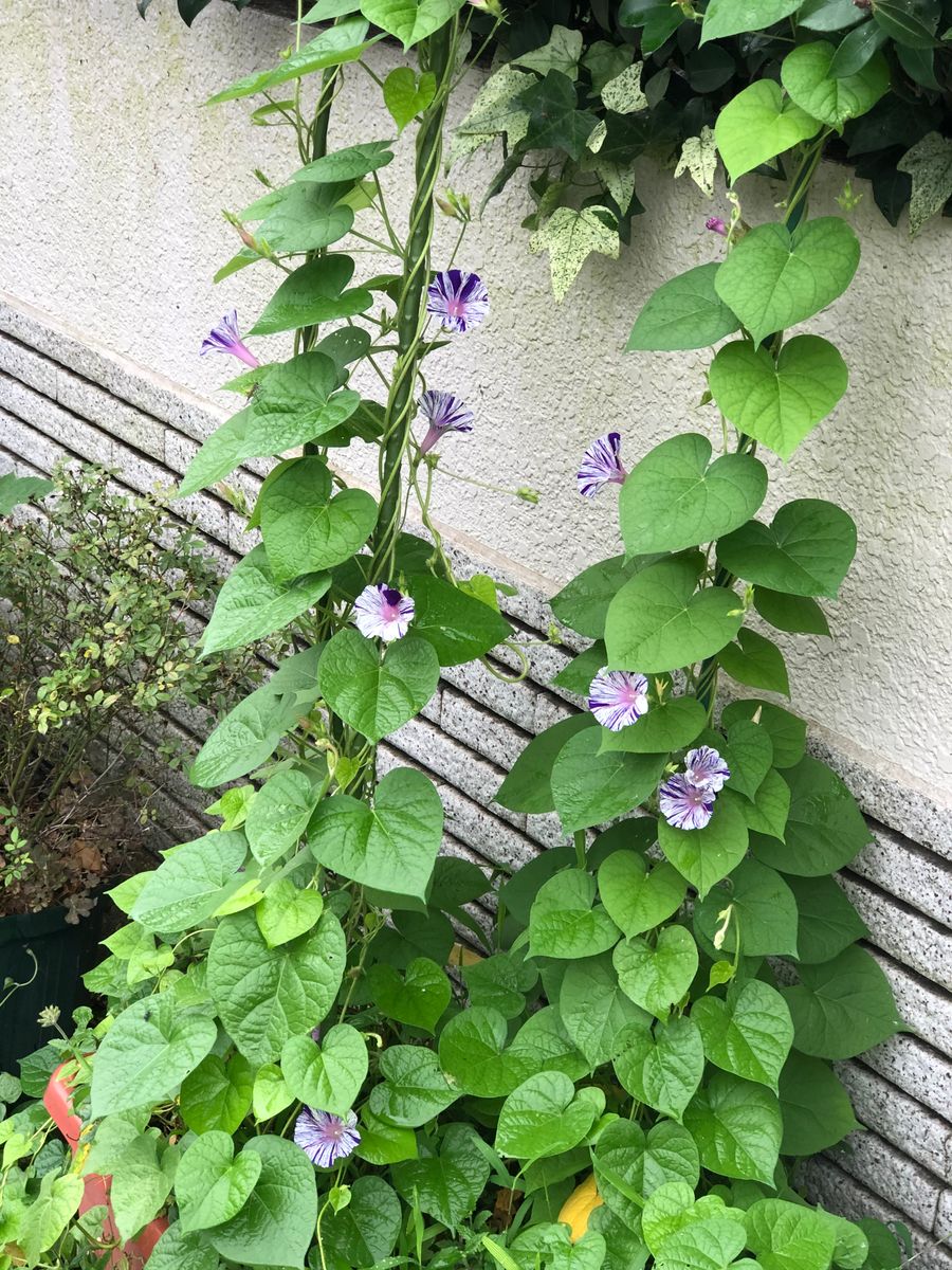 朝地震がありましたね。