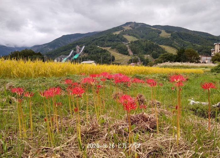 Natural　Garden　私の庭  9/26