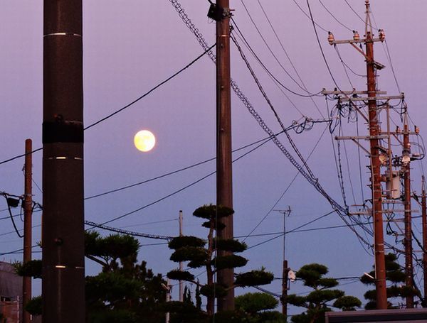 今夜も月が綺麗だよ～