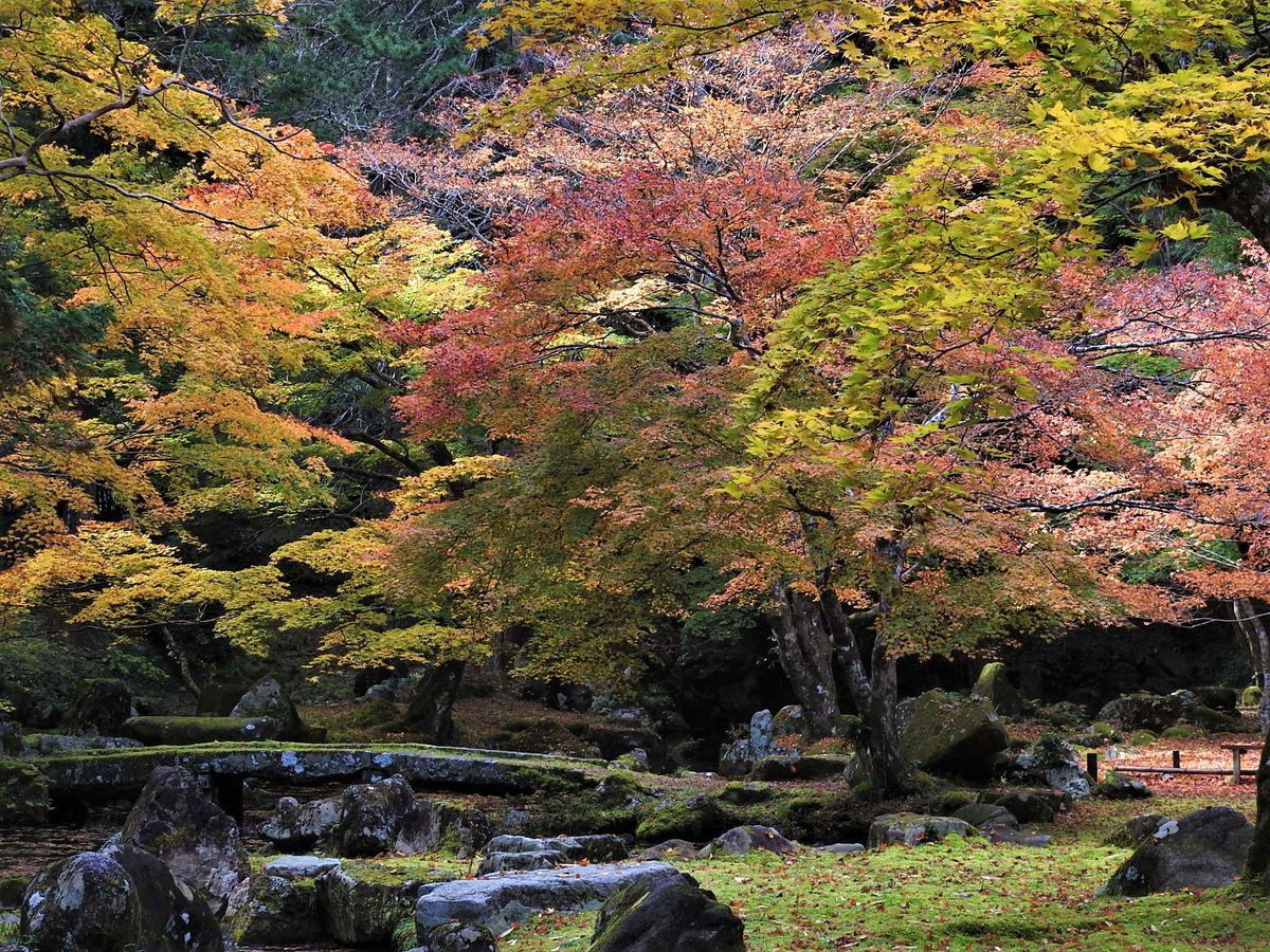 紅葉を訪ねて