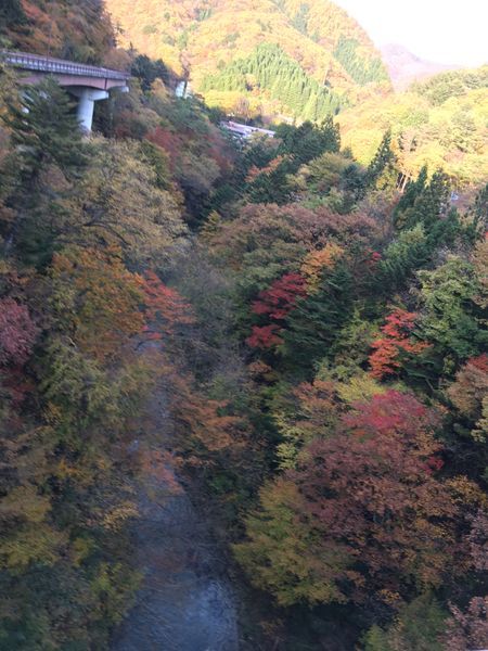 写楽⑰ 花歌留多 かんなづき