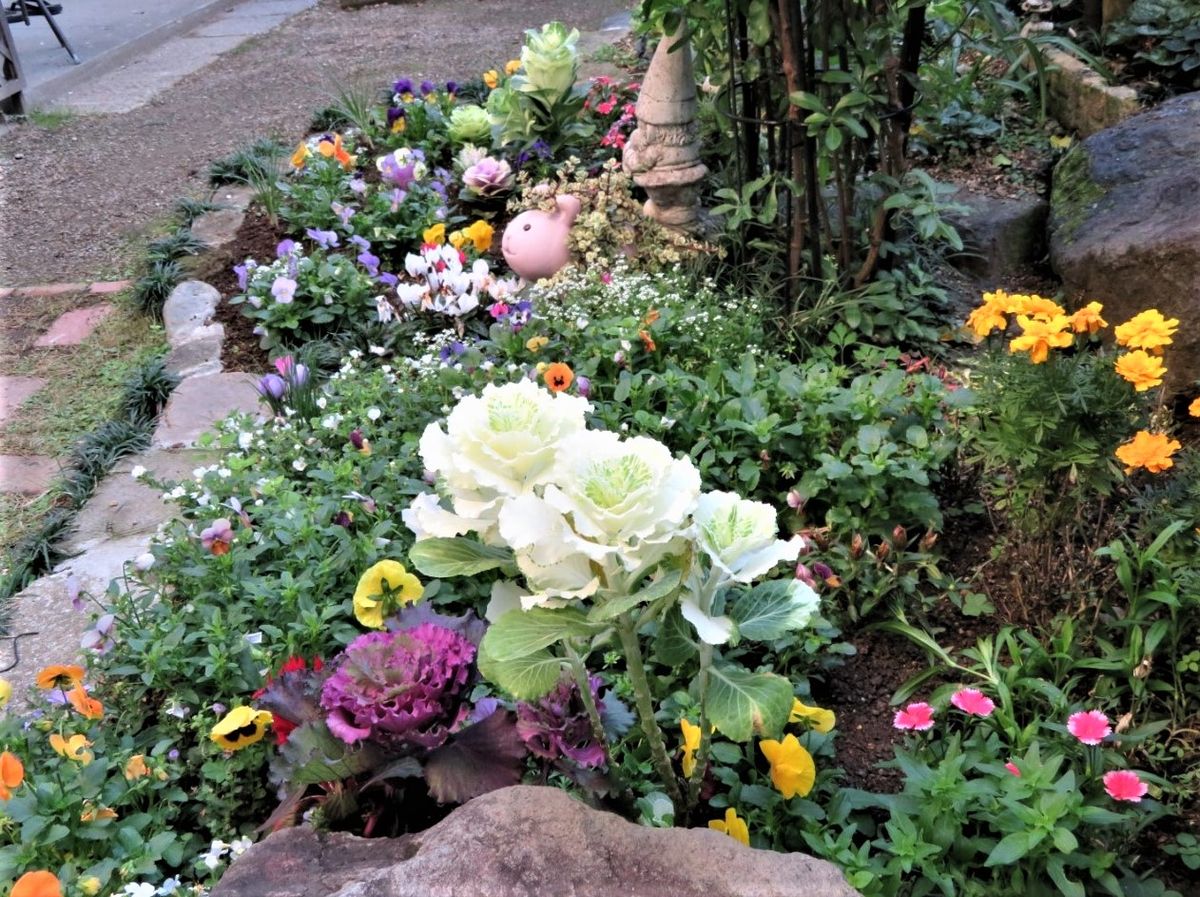 １１月末の花壇の様子