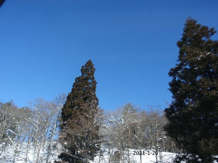 抜けるような青空