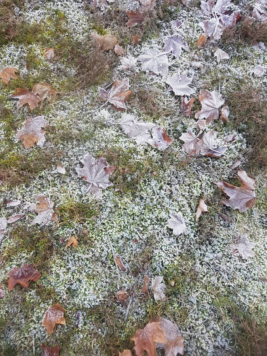 氷点下　雪が降る前に