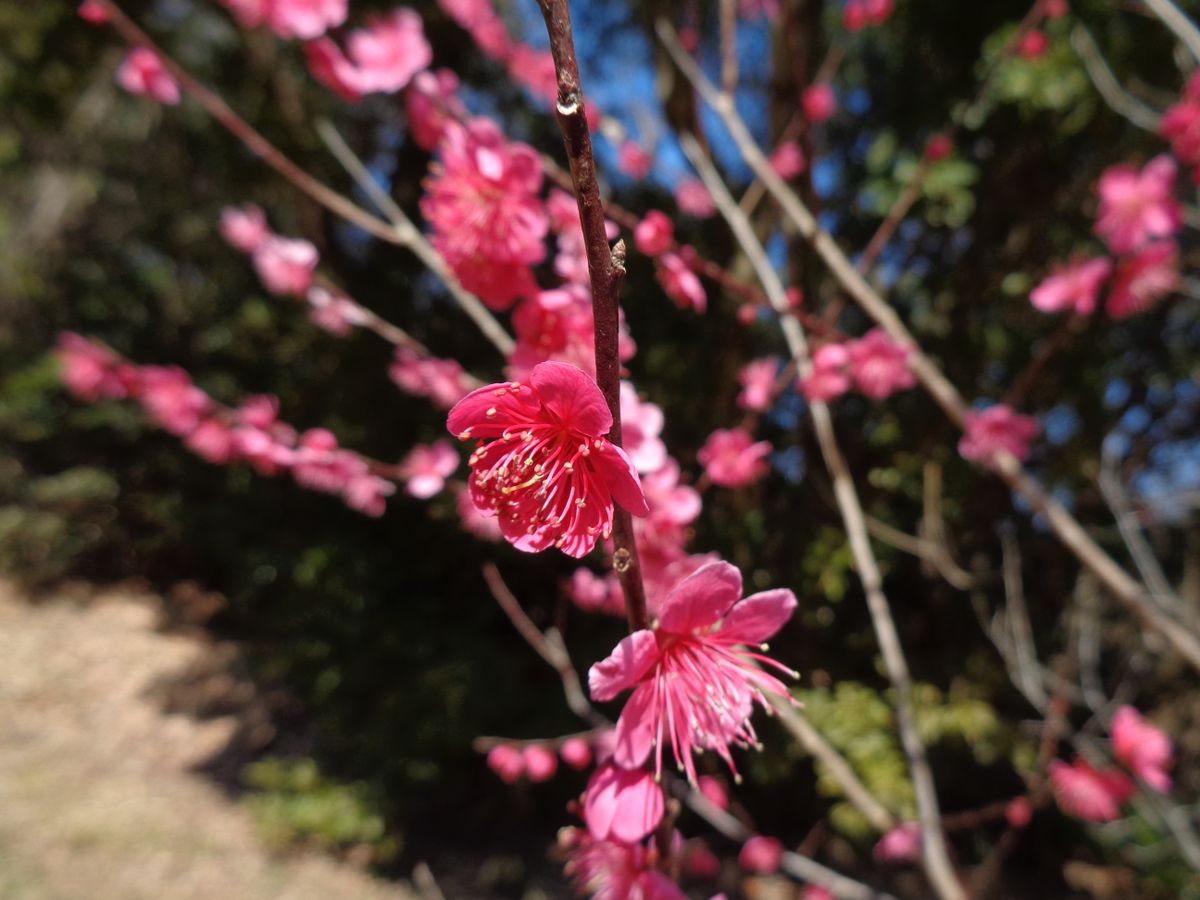 今日はフルコース(*´▽｀*)その③