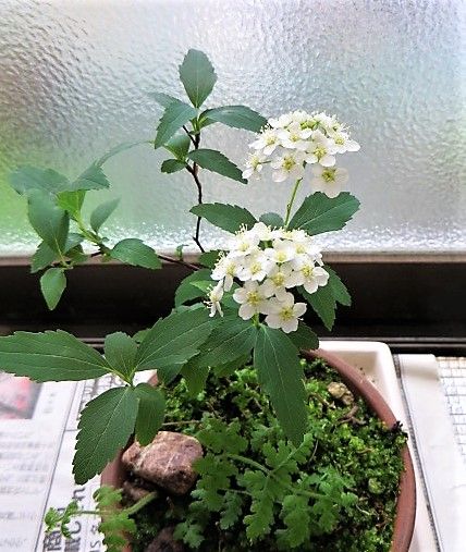 ☔雨の1日