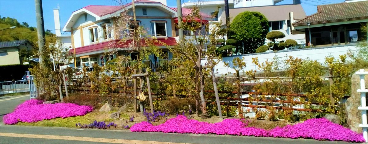 マイカーの車窓から』🚙４月１５日