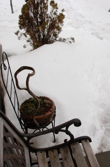 雪解けが始まった？？