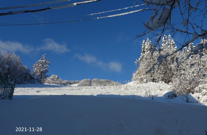 雪の後のご褒美