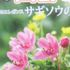 植物・園芸に関する書物の交換をどうぞ