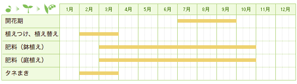 センノウの栽培カレンダー