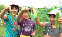 子どもの頃から地元の野菜に触れることで、愛着が生まれ、その味も受け継がれていく