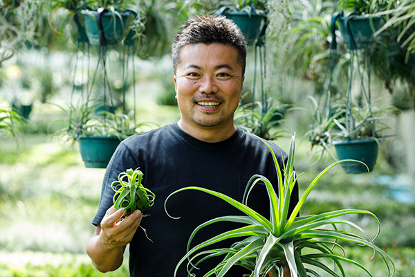 エアプランツ巨大化計画 人気植物の新しい楽しみ方 みんなの趣味の園芸 Nhk出版