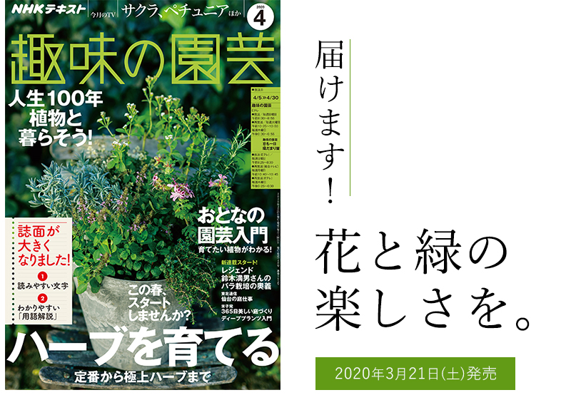Nhkテキスト 趣味の園芸 は 年4月号からリニューアルします Nhk出版