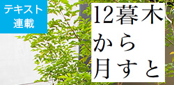 木と暮らす12か月