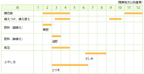 ツバキの栽培カレンダー