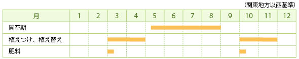 ヘメロカリスの栽培カレンダー