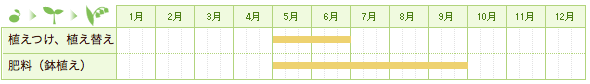 コチョウラン（胡蝶蘭）の栽培カレンダー