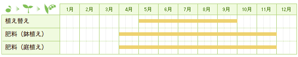 アジアンタムの栽培カレンダー
