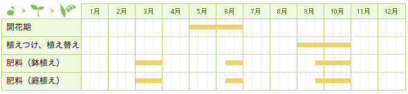 シャクヤクの栽培カレンダー