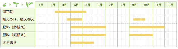 雪割草の栽培カレンダー