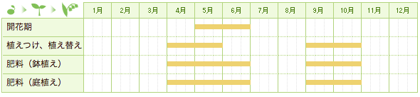 シランの栽培カレンダー