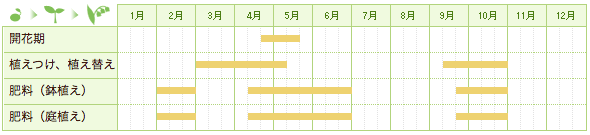 シャクナゲの栽培カレンダー