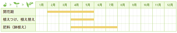 デンドロビウム・ノビル系の栽培カレンダー