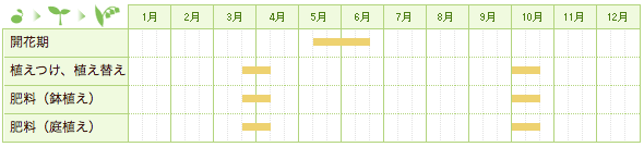 ラベンダーとは 育て方図鑑 みんなの趣味の園芸 Nhk出版