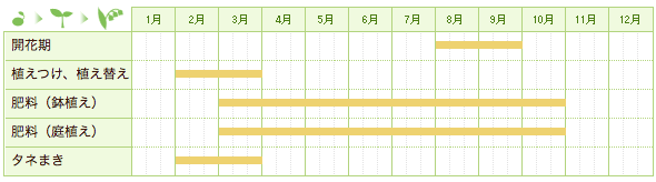 ホトトギスの栽培カレンダー