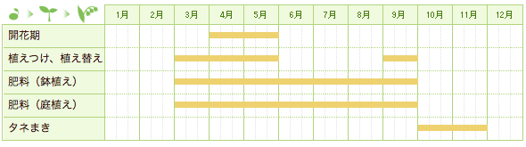 エビネ（春咲き）の栽培カレンダー