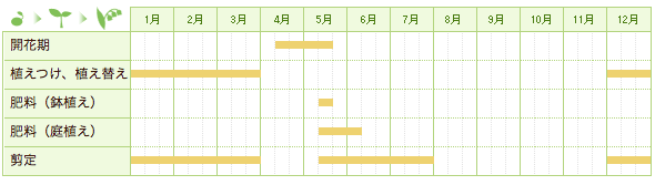 ハナミズキの栽培カレンダー