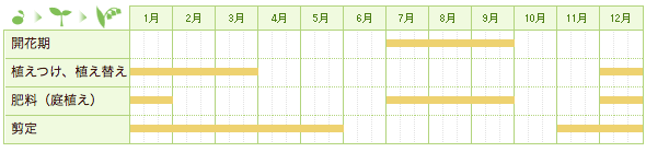 ムクゲの栽培カレンダー