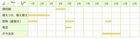 モクレンの栽培カレンダー