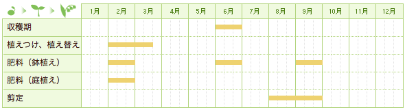 ビワの栽培カレンダー