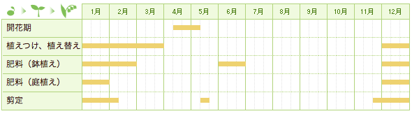 カエデ（モミジ）の栽培カレンダー