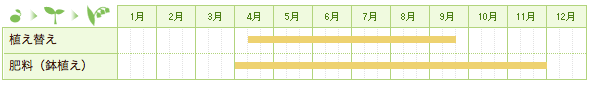 ユッカの栽培カレンダー