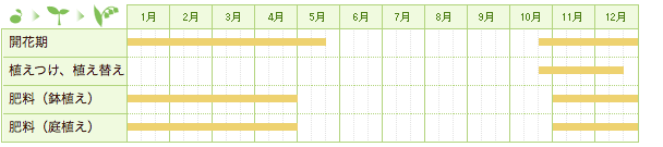 パンジー、ビオラの栽培カレンダー