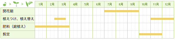 ハギ（萩）の栽培カレンダー