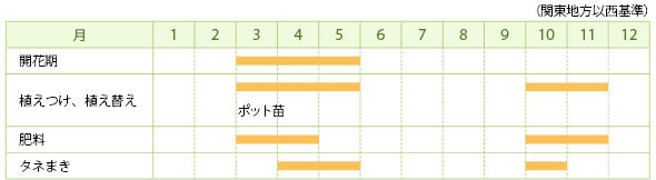 アルメリアの栽培カレンダー
