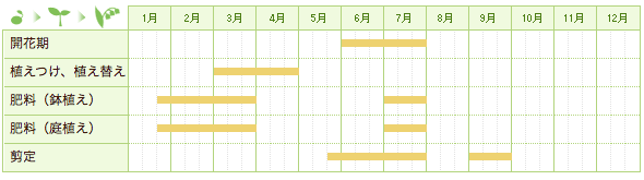 クチナシの栽培カレンダー