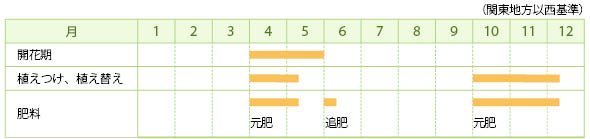 スズランの栽培カレンダー
