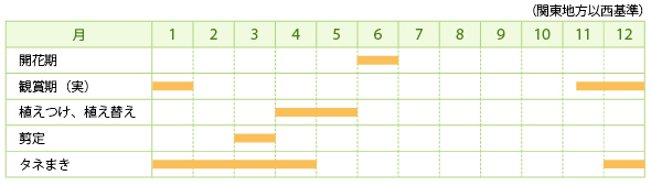 センリョウの栽培カレンダー