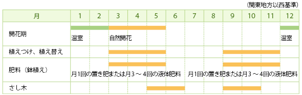 ハーデンベルギアの栽培カレンダー