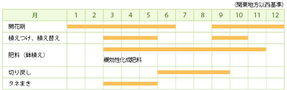 バコパ ステラ とは 育て方図鑑 みんなの趣味の園芸 Nhk出版